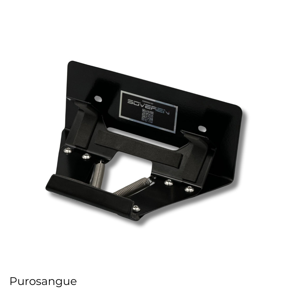 #Vehicle Model_Purosangue